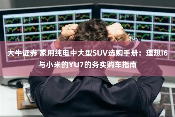 大牛证券 家用纯电中大型SUV选购手册：理想i6与小米的YU7的务实购车指南