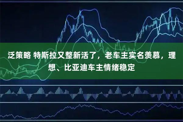 泛策略 特斯拉又整新活了，老车主实名羡慕，理想、比亚迪车主情绪稳定